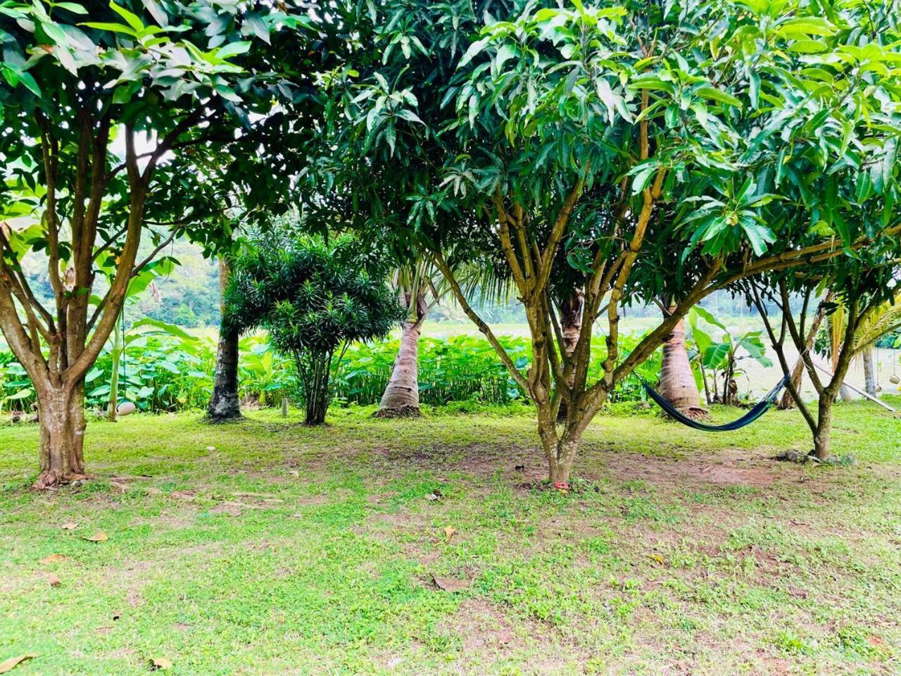 Secret Garden Mirissa Villa Екстериор снимка